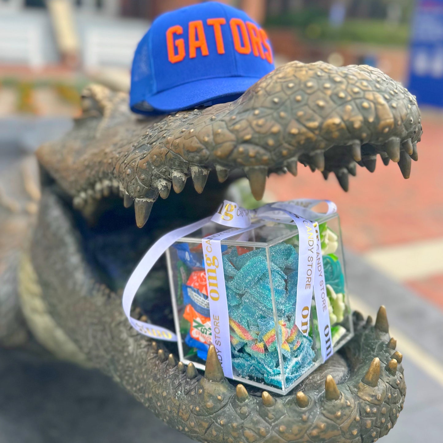 Gator Chomp Box
